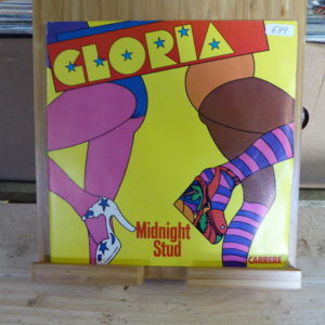 Gloria - Midnight Stud