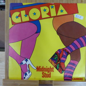 Gloria - Midgnight Stud