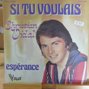Si tu voulais - Christian Vidal