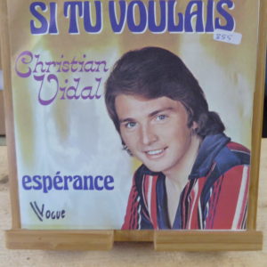 Si tu voulais - Christian Vidal